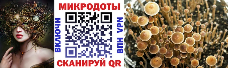 Галлюциногенные грибы ЛСД  как найти закладки  Санкт-Петербург 